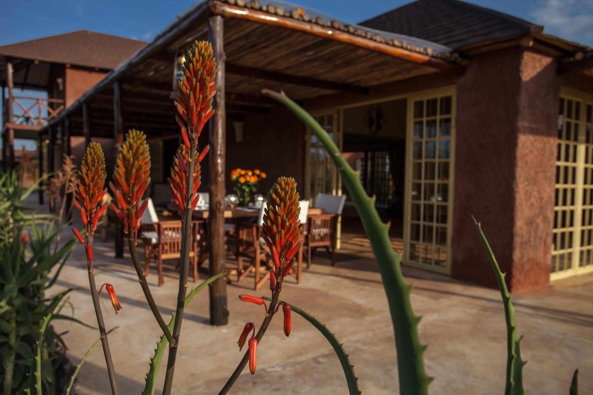 ארושה Kili Villa Kilimanjaro Luxury Retreat חדר תמונה